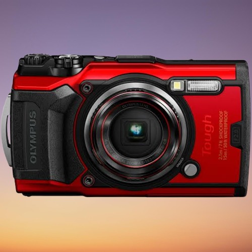 Best Compact Digital Camera for Professional Photographer's